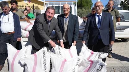 Milas Belediyesi’nden üreticiye ata tohumu desteği