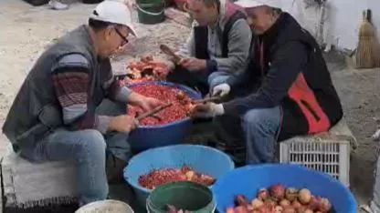 Soma Sarıkaya Köyü’nde Nar Ekşisi Yapımına Başlandı