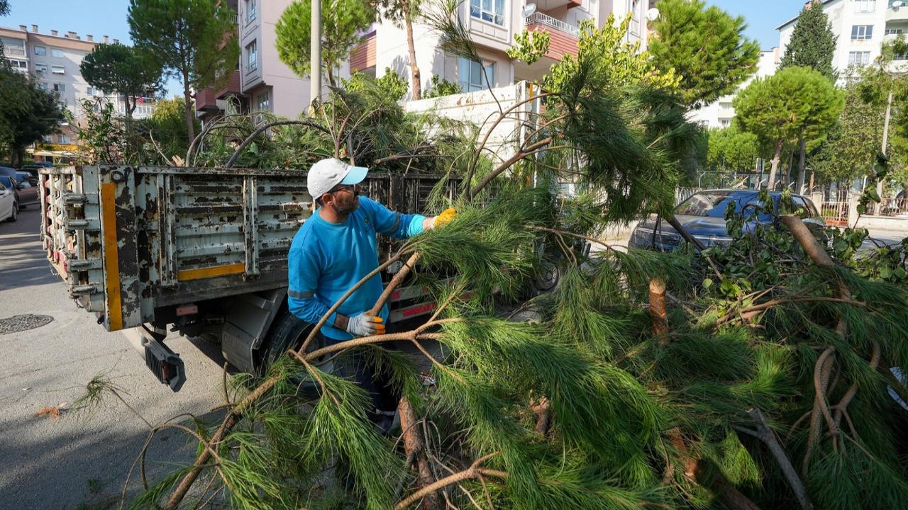 Gaziemir’de Bahçe Atıkları Artık Adresten Alınıyor