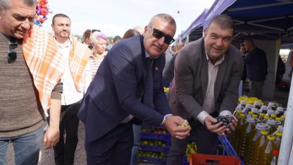 Orhanlı’da Zeytin Hasadı Festivali Coşkusu