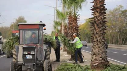 Turgutlu’da Park ve Bahçeler Ekipleri Sahada