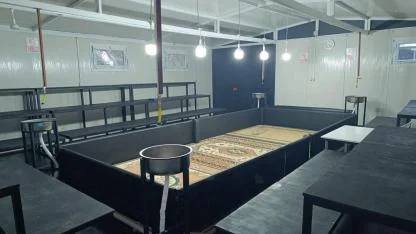 Akhisar ve Soma’da Horoz Dövüşü Baskını: 14 Kişiye İşlem