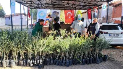 Büyükşehirden Akhisarlı üreticiye 29 bin fidan desteği