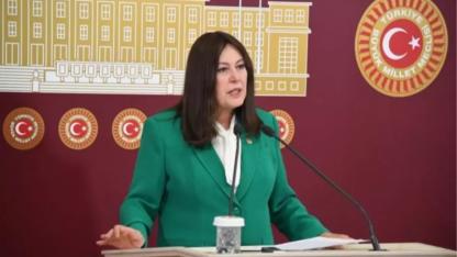 Sunat, Vestel’deki işten çıkarmaları Meclis’e taşıdı