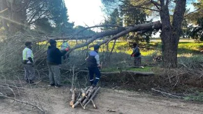 Ayvalık’ta Kış Seferberliği: Odunlar Yuvayı Isıtıyor