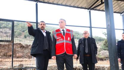 Şehzadeler Hayvan Barınağı boşaltıldı, 605 köpek taşındı