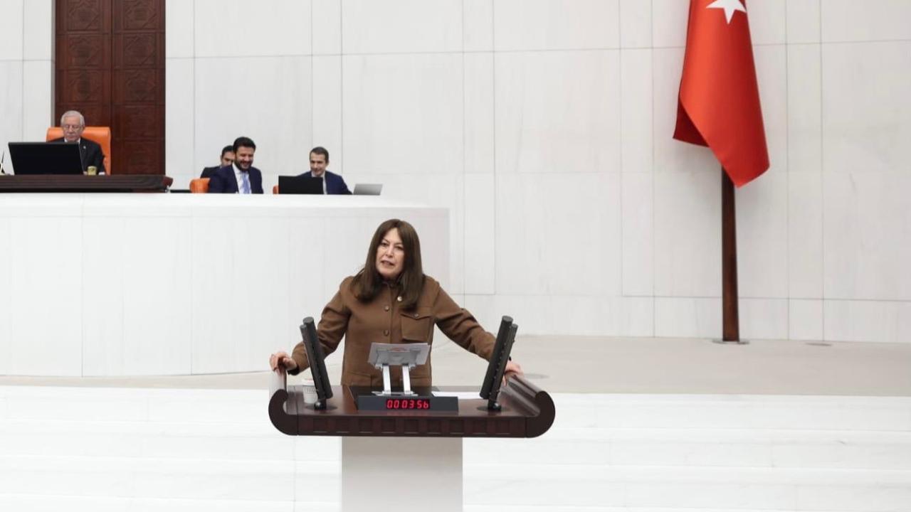 Soma A Özelleştirmesinde Kamu Zararı İddiası Meclis’te