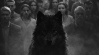 KALABALIKTA KAYBOLANLARA