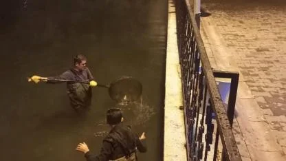 Soma Havuzlu Park’ta balıklara kimyasal saldırı