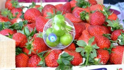 Manisa’da İlk Erik Tezgâhta: Fiyatı Cep Yakıyor