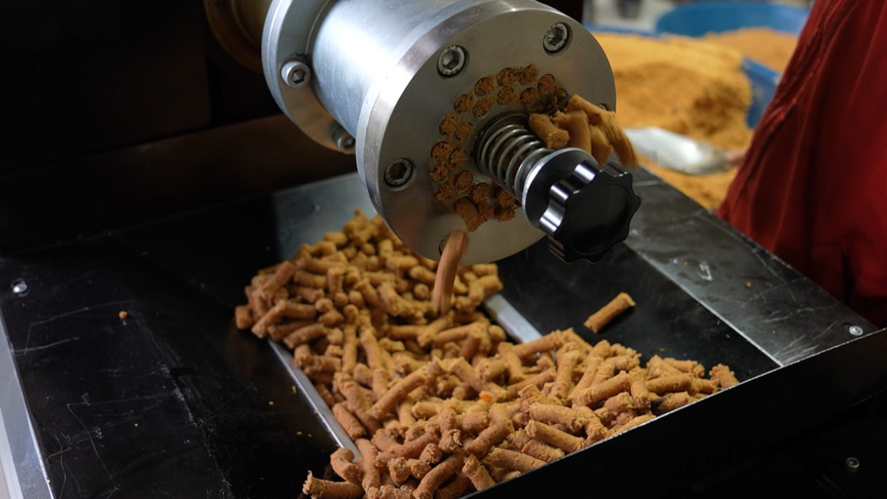 Turgutlu'da Atık Gıdalar Sahipsiz Canlara Mama Oluyor