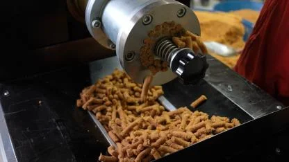 Turgutlu'da Atık Gıdalar Sahipsiz Canlara Mama Oluyor