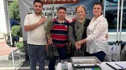 Atık Piller Zeytin Fidanına Dönüştü