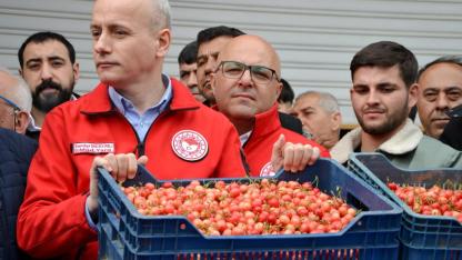 Manisa’da Kiraz Sezonu Açıldı