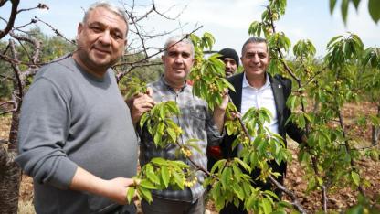 Şehzadeler’de Kiraz Hasadı Öncesi Üreticiyle Buluşma