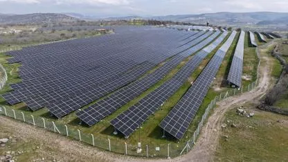Manisa’ya 50 Bin Dolar İklim Hibesi