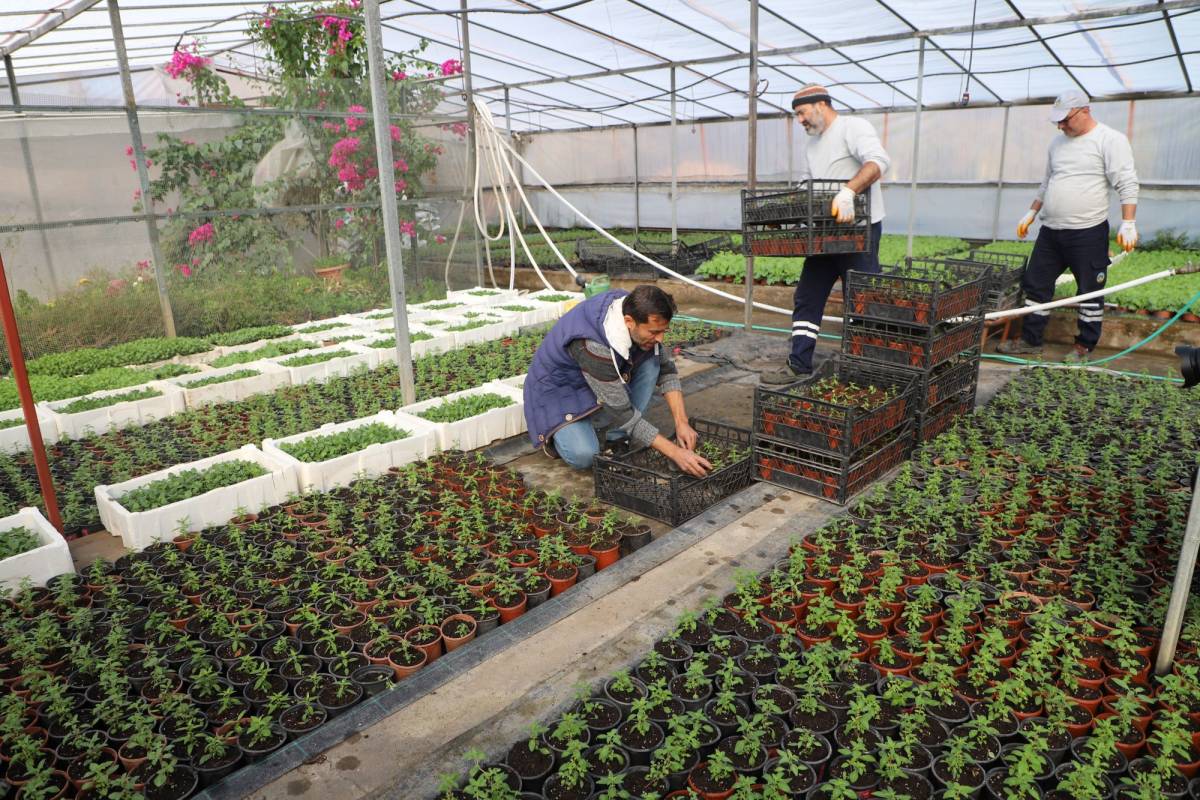 Turgutlu’da Park ve Bahçeler Ekipleri Sahada
