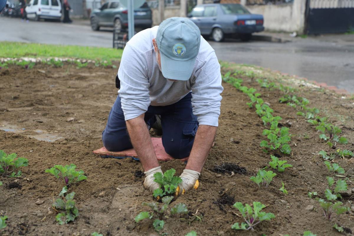 Turgutlu’da Park ve Bahçeler Ekipleri Sahada