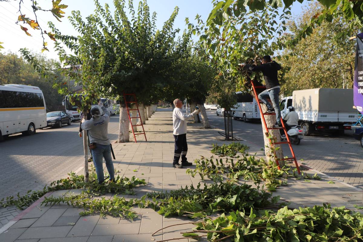 Turgutlu’da Park ve Bahçeler Ekipleri Sahada