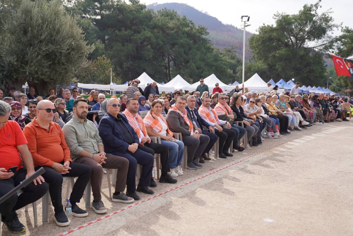 Orhanlı’da Zeytin Hasadı Festivali Coşkusu