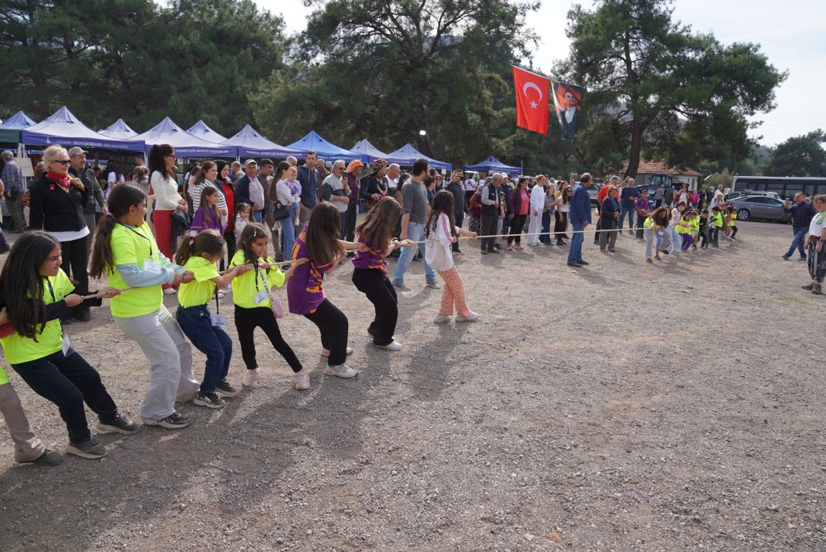 Orhanlı’da Zeytin Hasadı Festivali Coşkusu