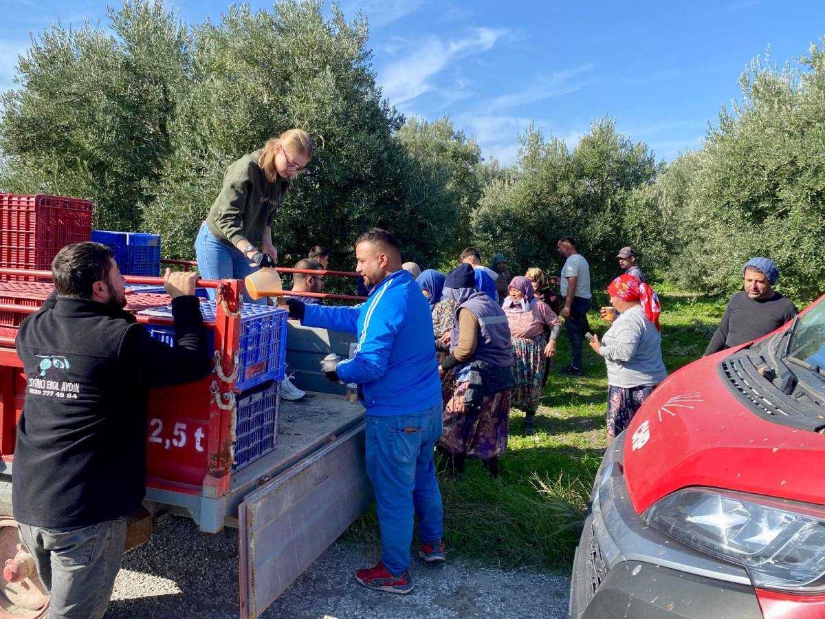Soğuk Sabahta Sıcak Dayanışma: CHP Gençlerinden Zeytin Emekçilerine Destek
