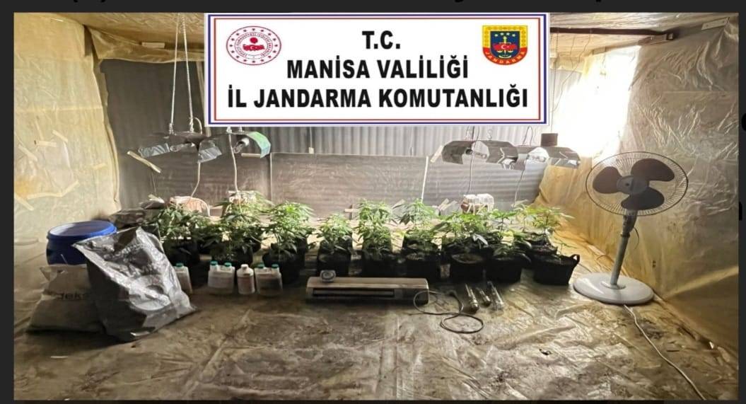 Akhisar’da Jandarmadan İklim Kontrollü Kenevir Operasyonu
