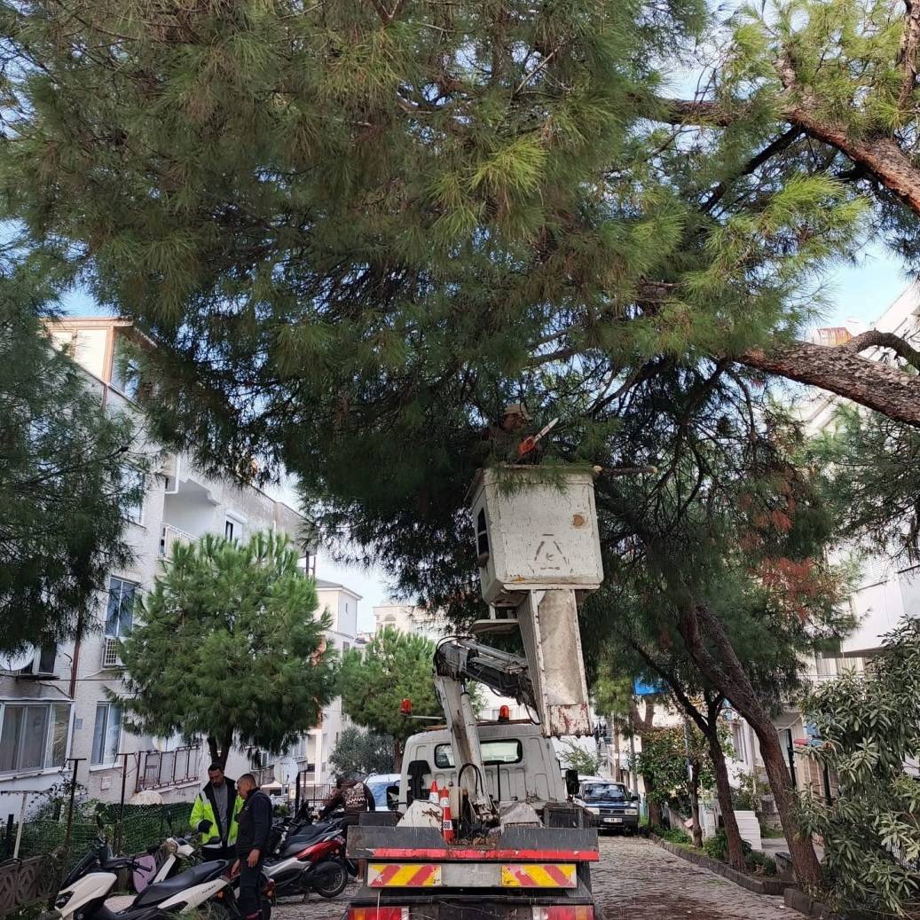 Ayvalık’ta kışa hazırlık için temizlik seferberliği