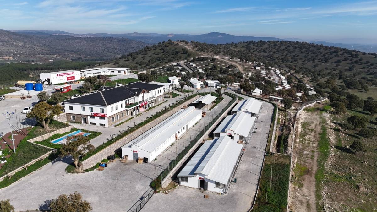 Yunusemre Hayvan Yaşam Merkezi can dostlara yuva oldu