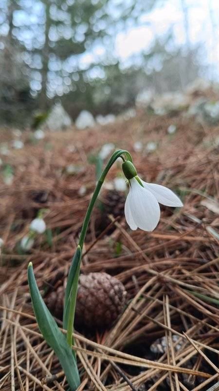 Manisa'nın Zirvesindeki Saklı Hazine