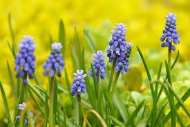 Manisa'nın Zirvesindeki Saklı Hazine