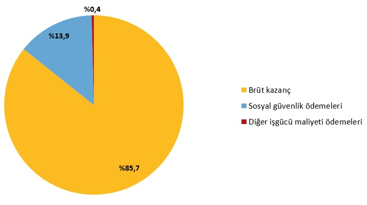 2024 Yılı İşgücü Maliyeti İstatistikleri Açıklandı