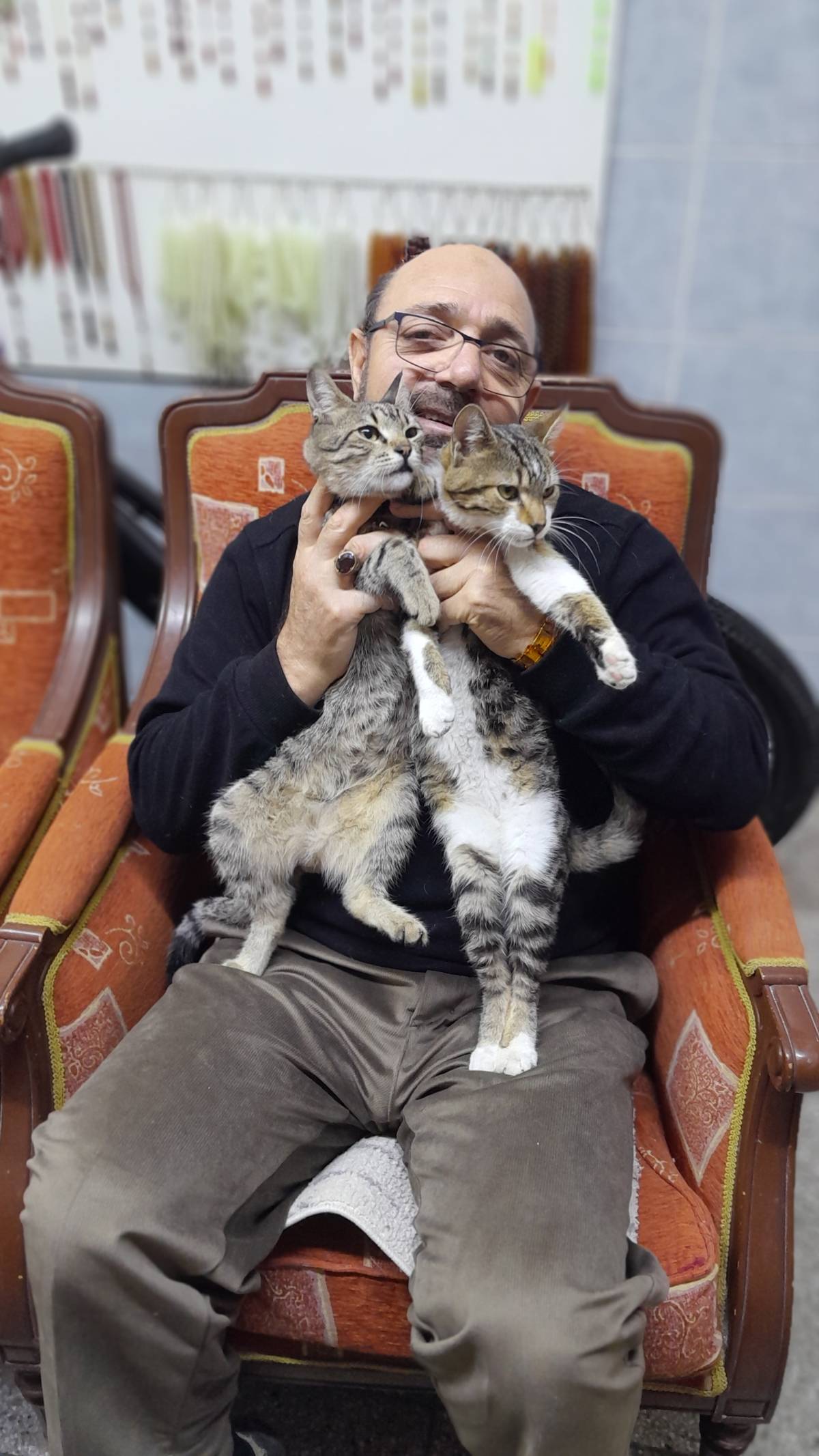 Manisalı Esnaf İş Yerini Kedi Evine Çevirdi