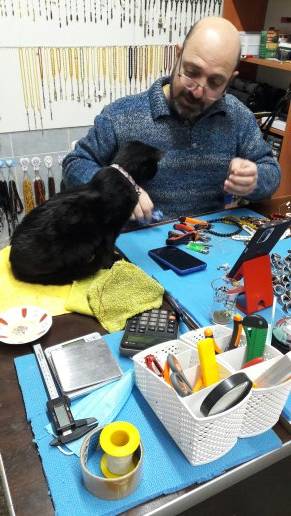 Manisalı Esnaf İş Yerini Kedi Evine Çevirdi