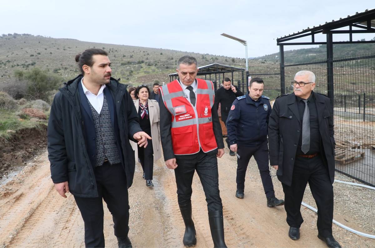 Şehzadeler Hayvan Barınağı boşaltıldı, 605 köpek taşındı