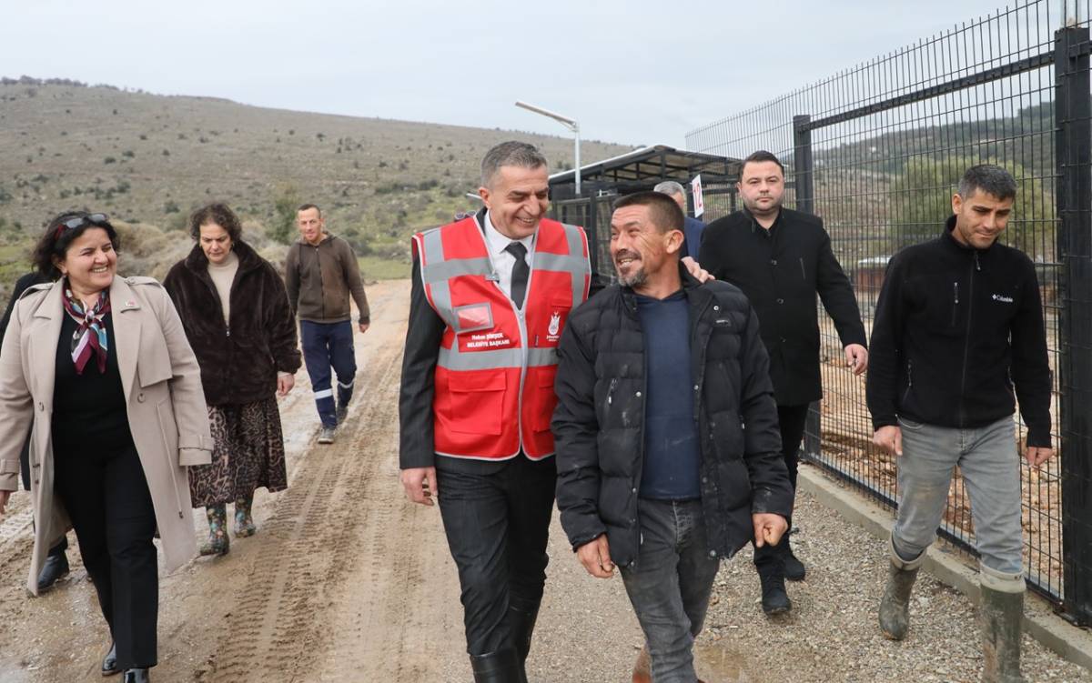 Şehzadeler Hayvan Barınağı boşaltıldı, 605 köpek taşındı