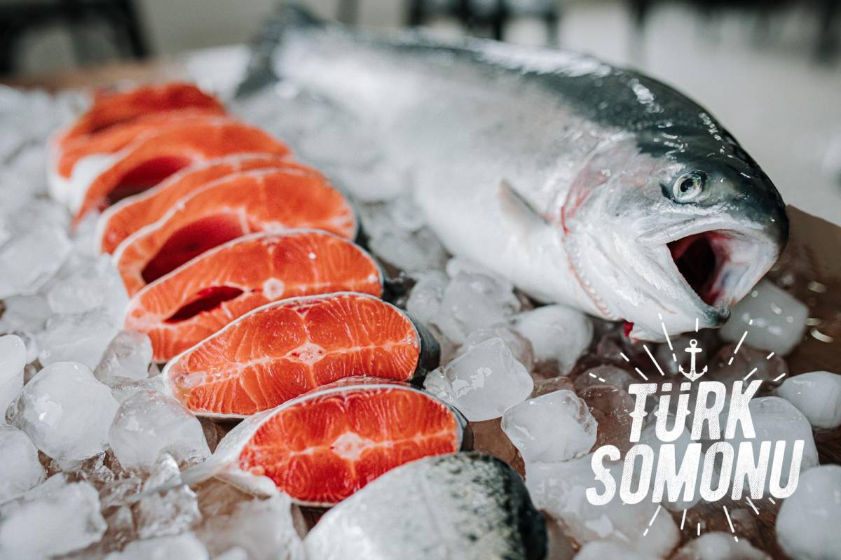 Su Ürünleri İhracatı 4 Milyar Doları Aştı