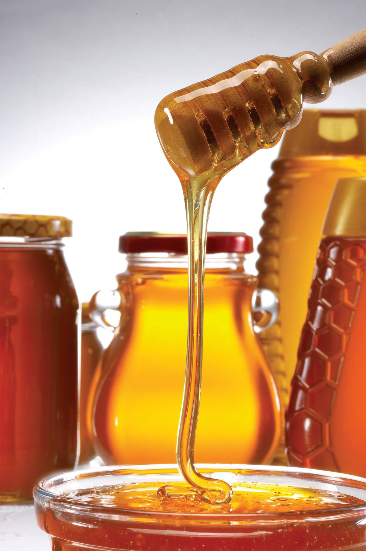 Su Ürünleri İhracatı 4 Milyar Doları Aştı