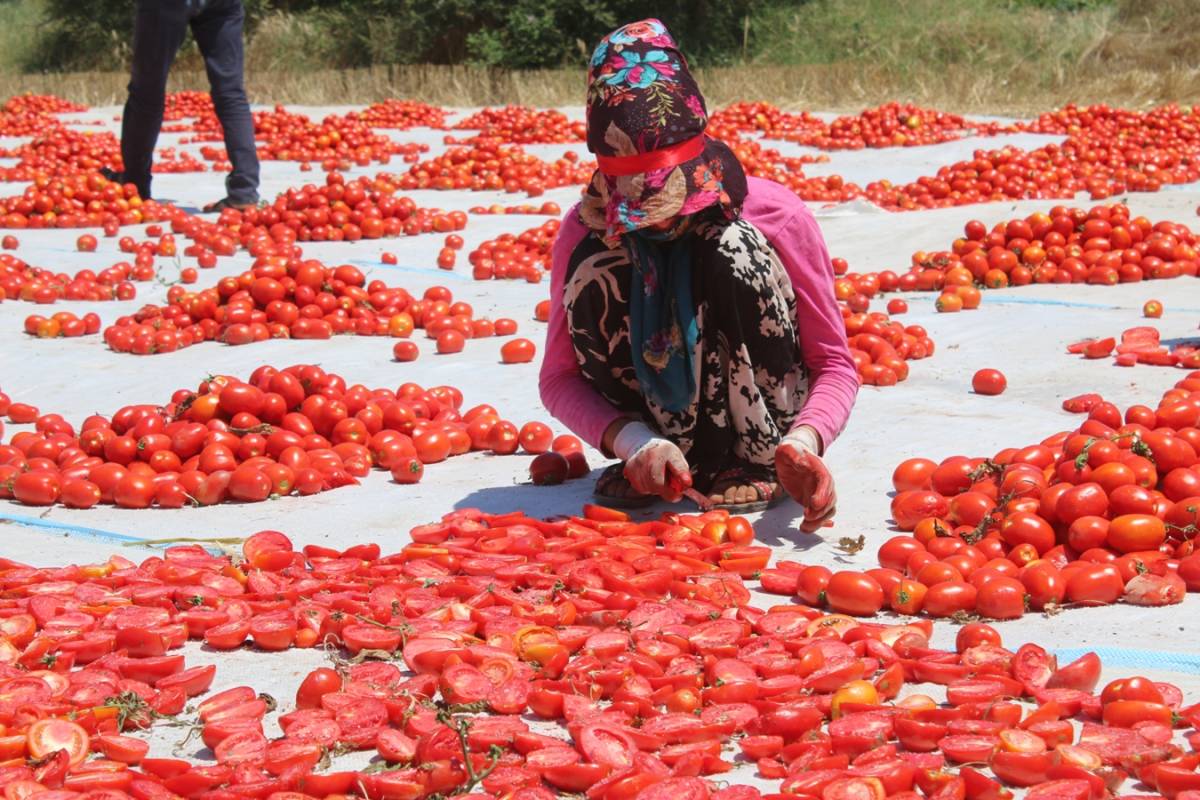 Manisa tarımında 1 milyar dolarlık ihracat