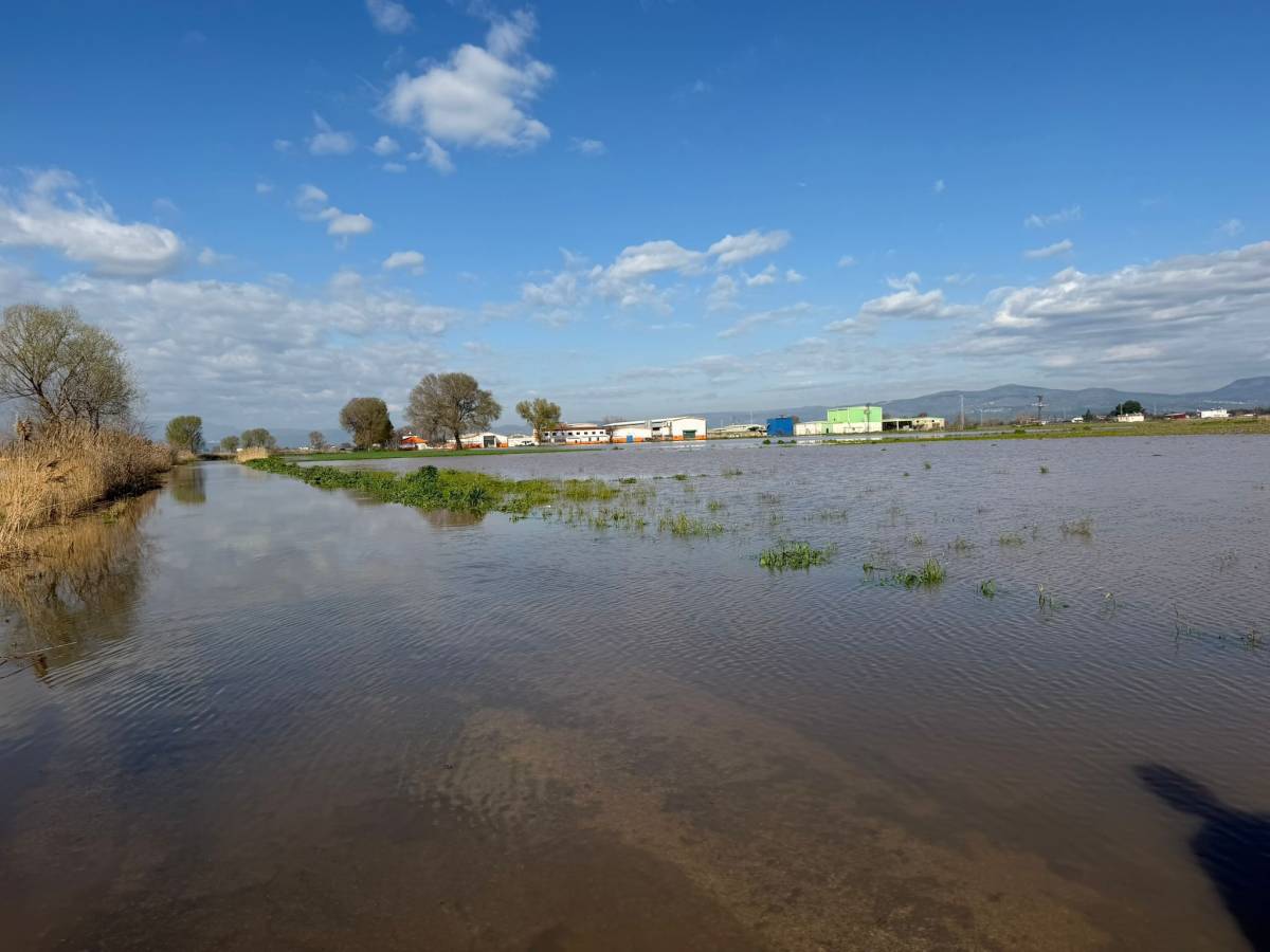 Arınç, Su Taşkınlarından Etkilenen Tarım Arazilerini Yerinde İnceledi