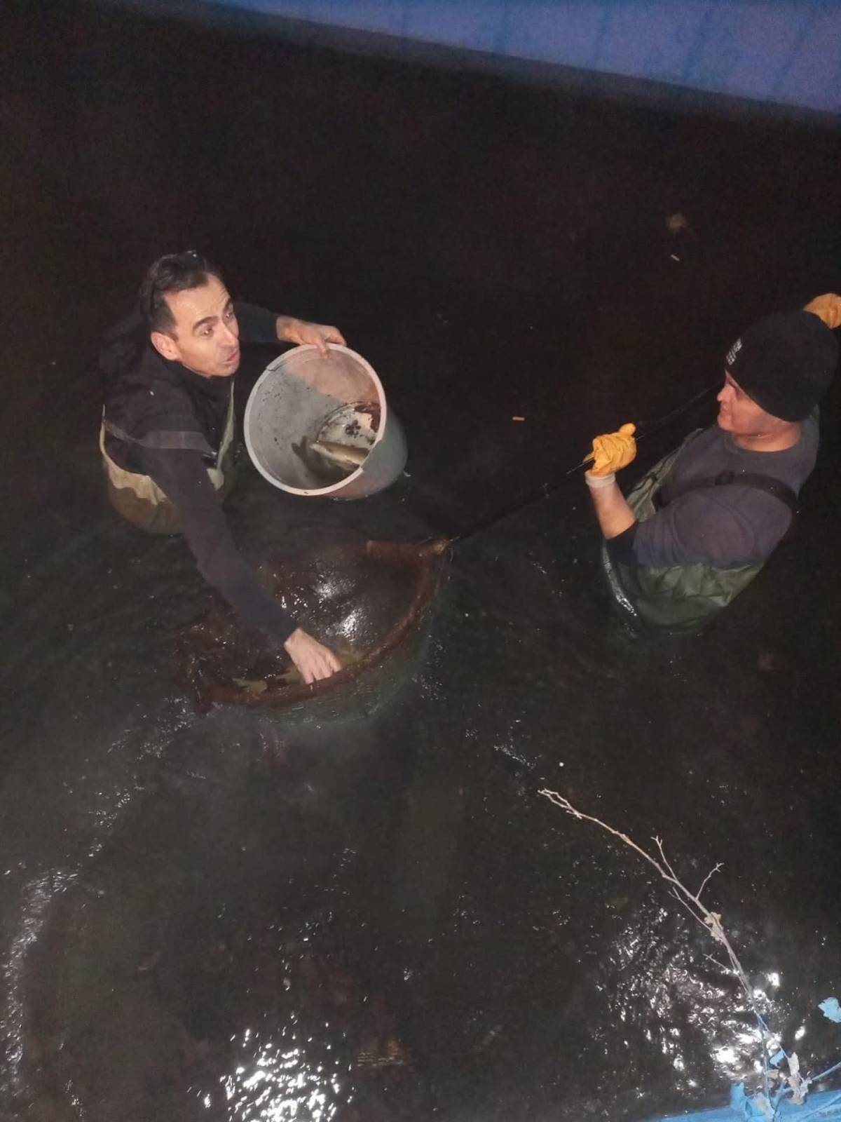 Soma Havuzlu Park’ta balıklara kimyasal saldırı