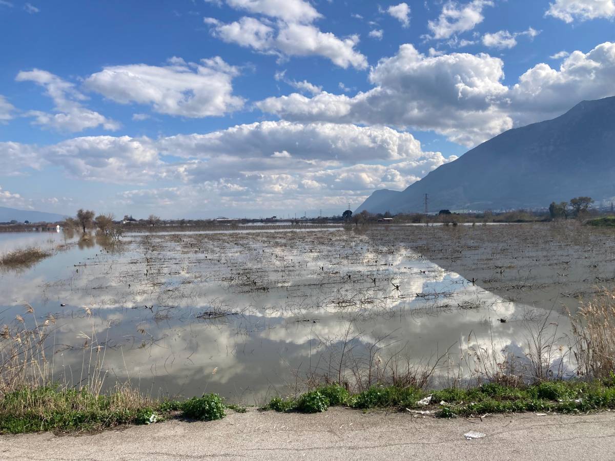 Gediz Taştı, Ovada Hayvanlar Mahsur Kaldı