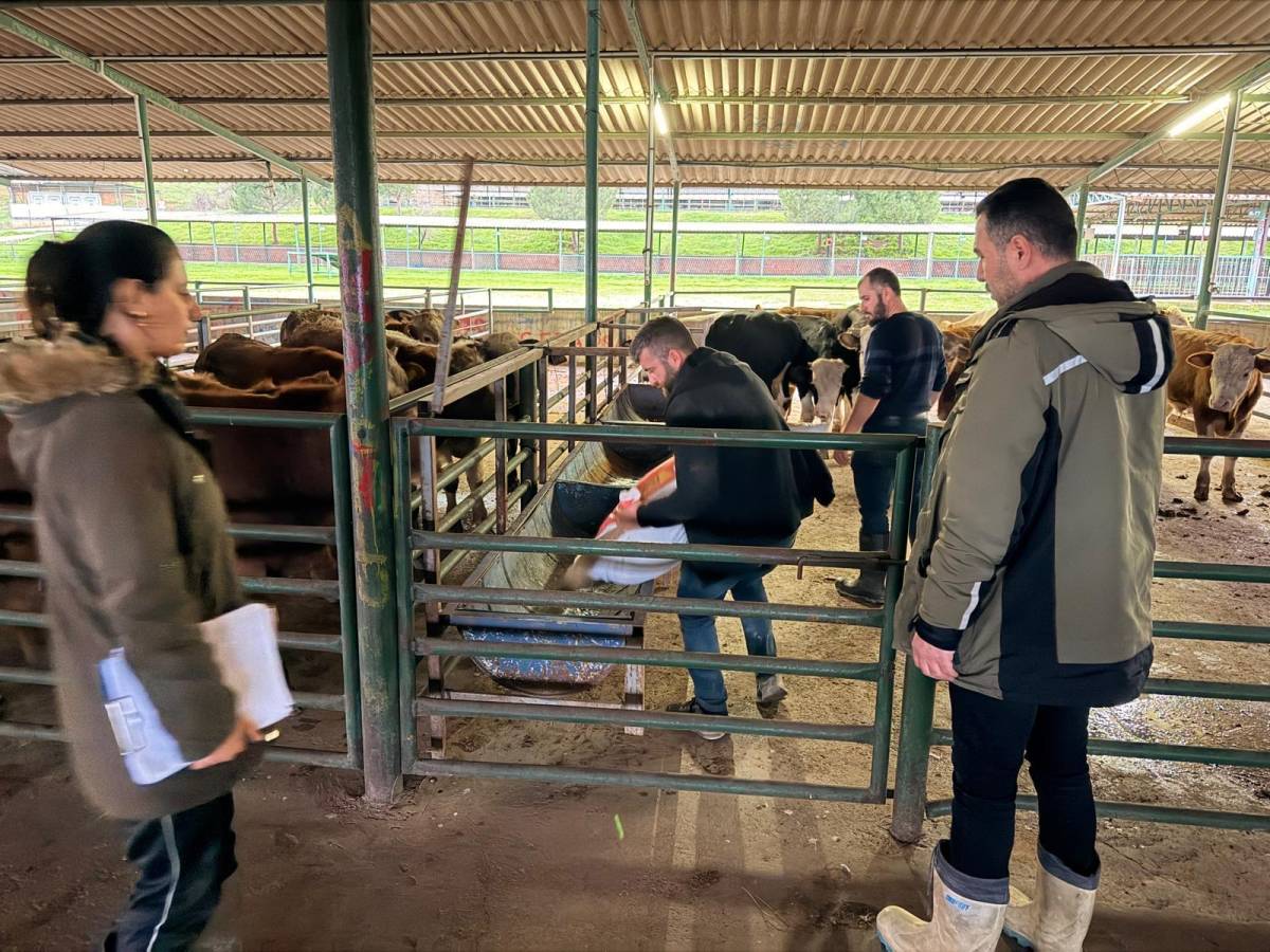 Gediz Taştı, Büyükşehir Mahsur Kalan 44 Vatandaşı Kurtardı