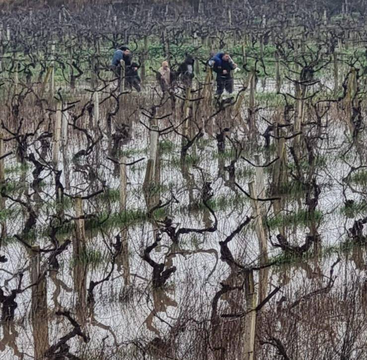 Manisa'da sel alarmı: İtfaiye ekipleri canpazarı yaşadı