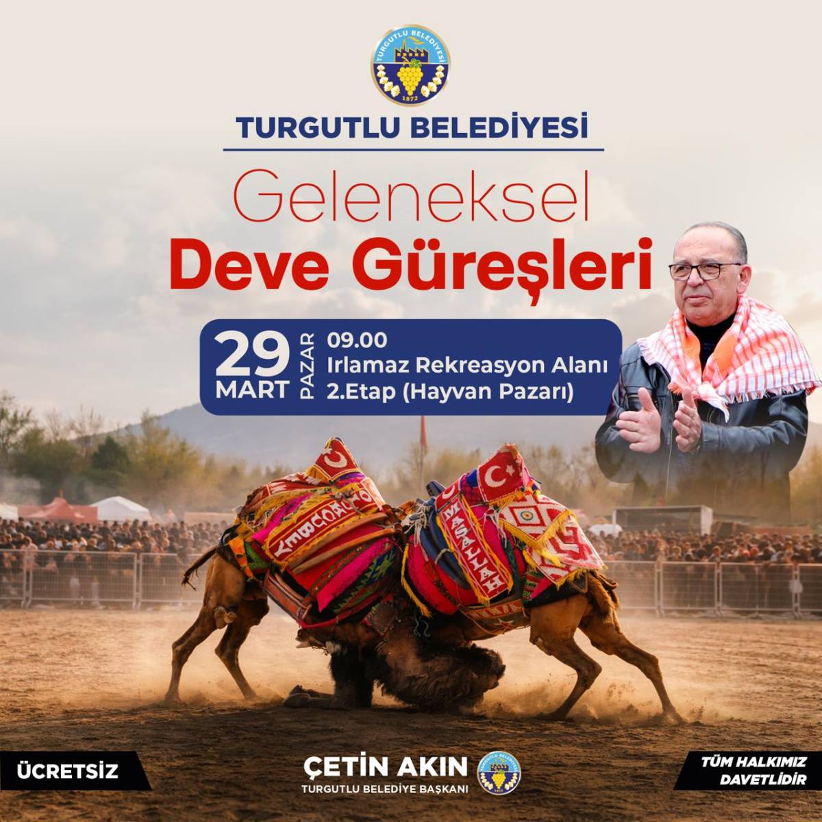 Turgutlu’da deve güreşleri heyecanı başlıyor