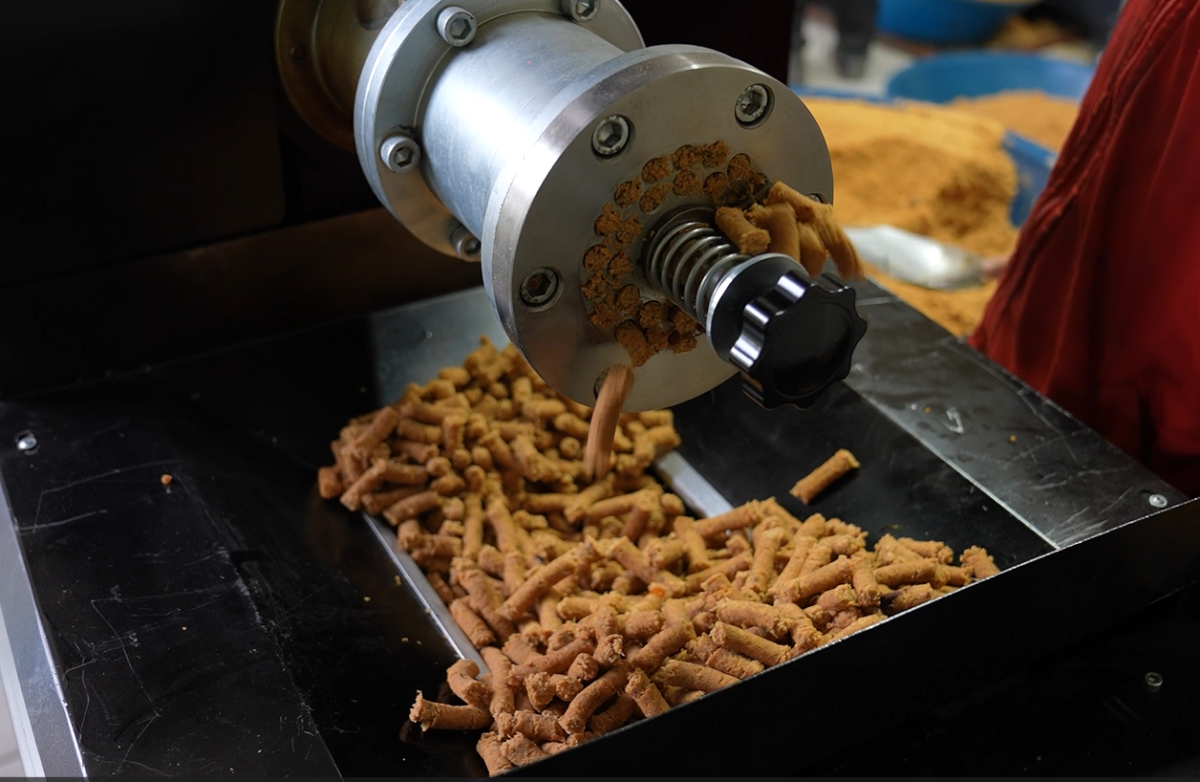 Turgutlu'da Atık Gıdalar Sahipsiz Canlara Mama Oluyor