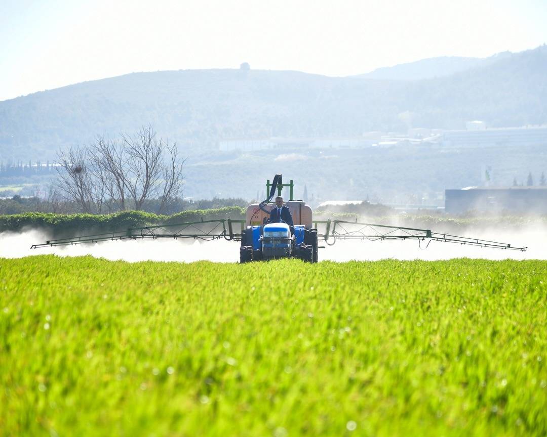 Akhisar Belediyesi Buğday Tarlalarında İlaçlama Çalışması Yaptı