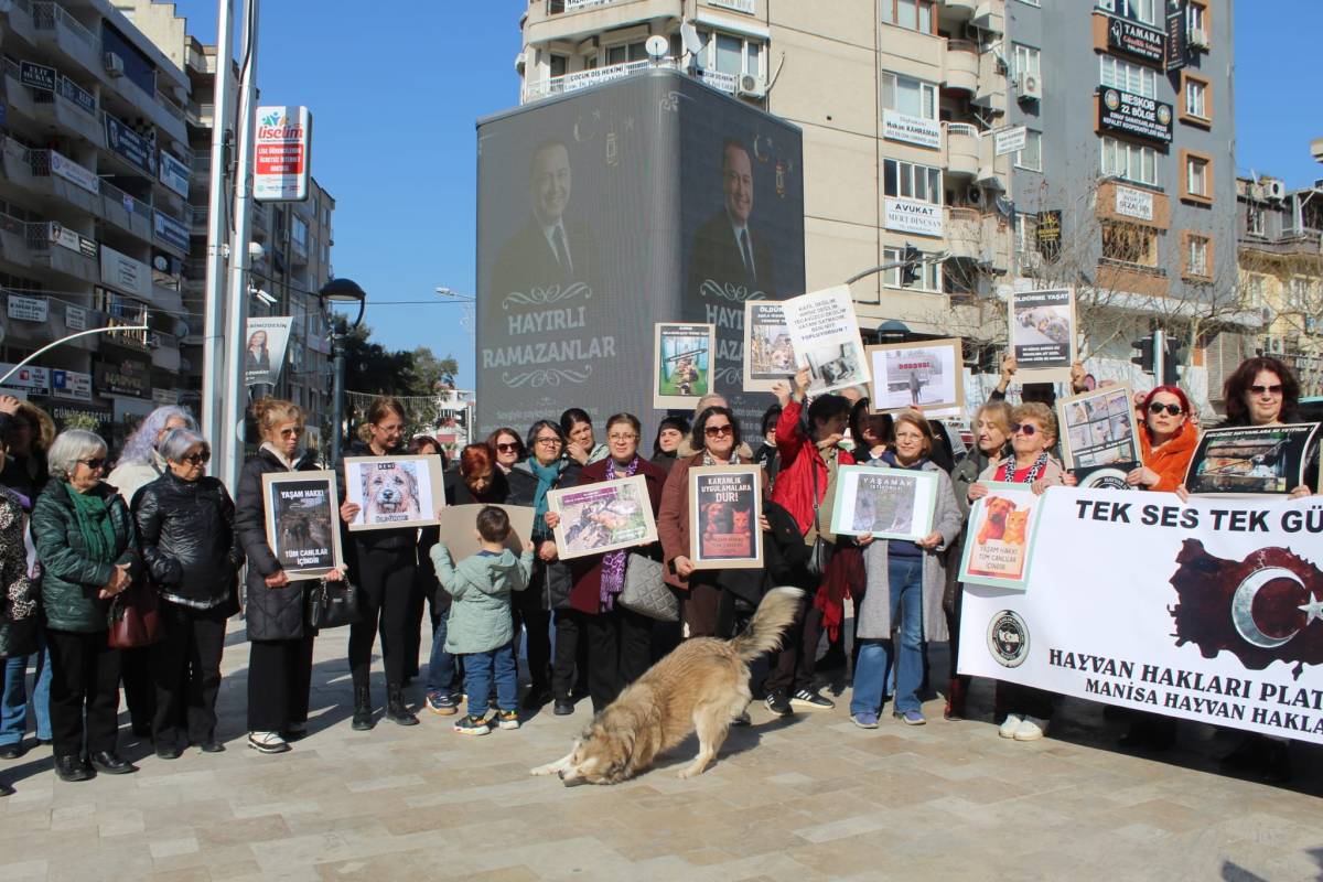 Manisa’da Hayvan Hakları İçin Ortak Çağrı: “Toplamayı Durdur, Yaşatmayı Seç”