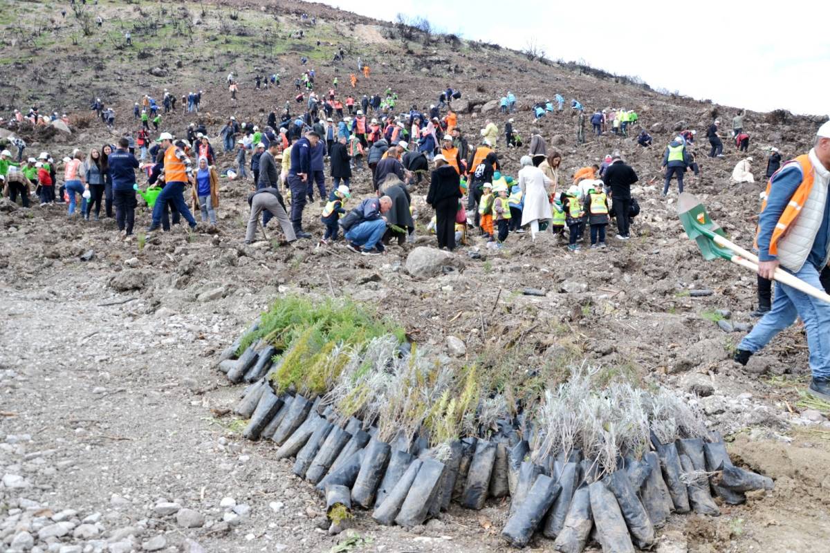 Manisa’da 30 bin fidan toprakla buluşuyor