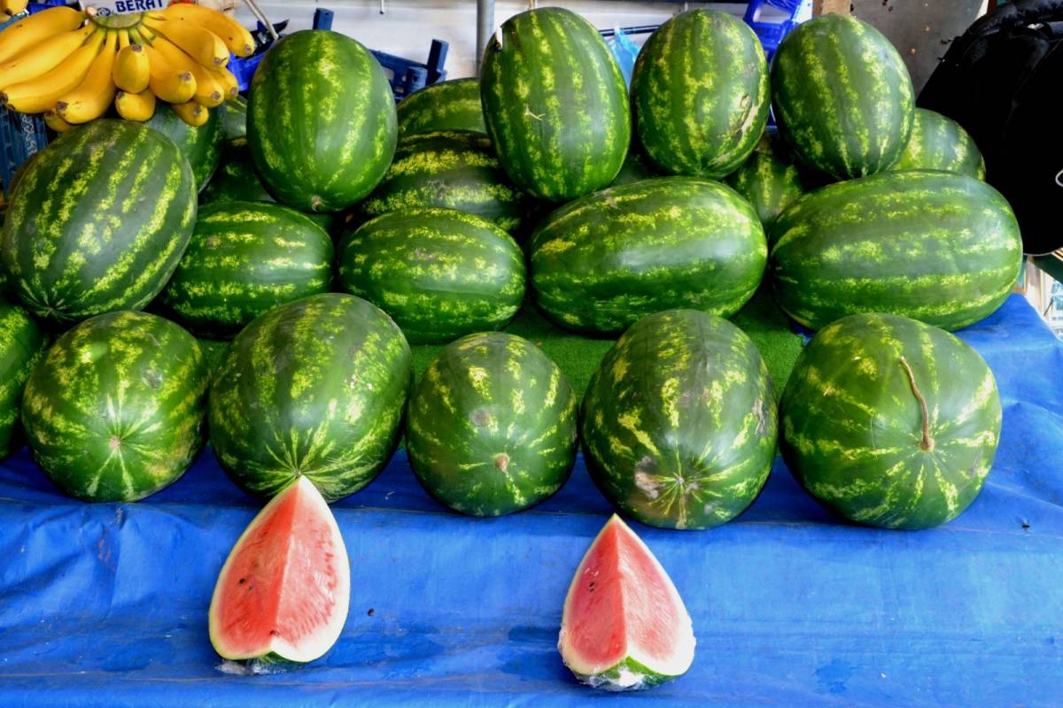 Mart Ayında Karpuz Dönemi Başladı